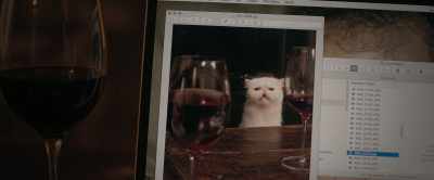 -[Anna] Punch.
-[camera clicks] - The Woman in the Window