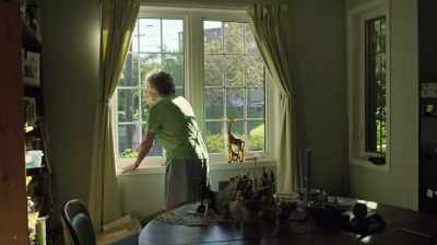 Anne: About 30 years passed - The Woman Who Loves Giraffes
