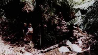 Anne said, "If he'd stayed up
there, he would have died." - The Cult of The Family