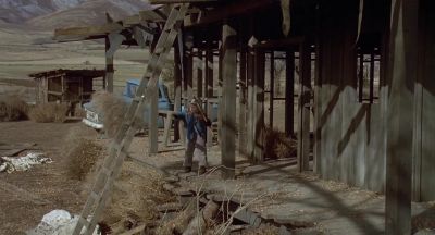 Annie Bye bye tumbleweed - A Home of Our Own