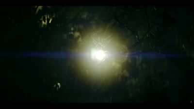 Annie had heard feet
scurrying from above, - Beyond: UFOS and the Unknown