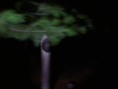 Annie Our bones are scattered at the grave's mouth - Twin Peaks