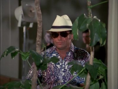 ANNOUNCER (ON
LOUDSPEAKER): Flight 67 - Hawaii Five-0