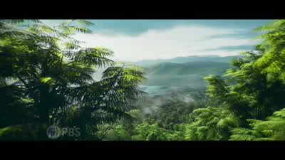 ANNOUNCER: On "NOVA: Ancient Earth"... - Nova
