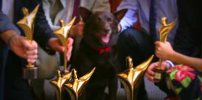 ANNOUNCER: 'Red Dog'
was nominated for - Koko: A Red Dog Story