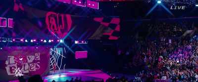 ANNOUNCER:
The Divas Champion, AJ Lee! - Fighting with My Family