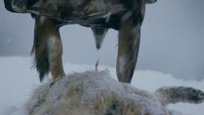 Another brutal storm. - Hostile Planet