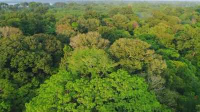 ANOTHER DEADLY AND DESTRUCTIVE
CURSE CAME WITH THESE COLONISTS, - Lost Cities of the Amazon