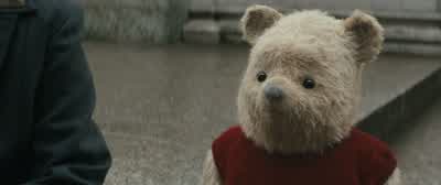 Well, another disastrous expotition. - Christopher Robin