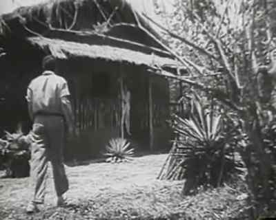 Another hot day, eh? - Terror Is a Man