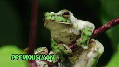 Another journey
through the living world, - When Nature Calls with Helen Mirren