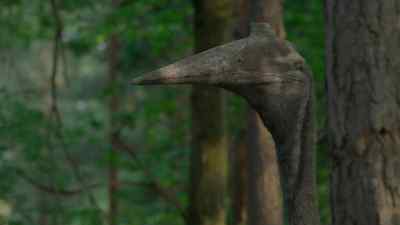 Another, much older Quetzalcoatlus female. - Prehistoric Planet
