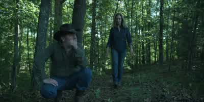 Another nest? - Ozark