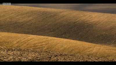 Another threat is the loss
of diversity below ground. - Extinction: The Facts