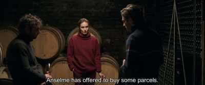 Anselme has offered to buy some parcels. - Back to Burgundy