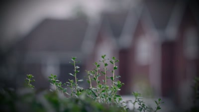 Anti-social behavior.
Low-level petty crime. - Killers: Caught on Camera