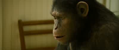 Antibodies. - Rise of the Planet of the Apes