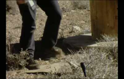 Anticipatory music - 2nd Chance