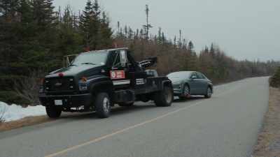 Antlers and a nose on a truck? - Everything Christmas