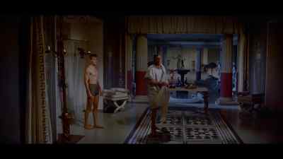 Antoninus look - Spartacus