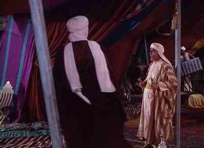 Any further orders, Excellency? - The Desert Hawk