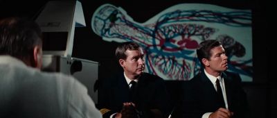 Any further questions - Fantastic Voyage
