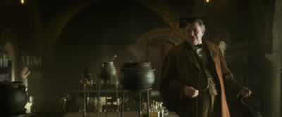 Any ideas what these might be? - Harry Potter and the Half Blood Prince