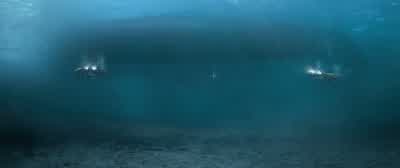 Any last thoughts about our plan? - The Meg