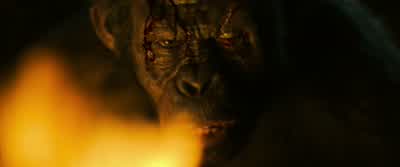 Koba! Ape... not kill ape. - War for the Planet of the Apes