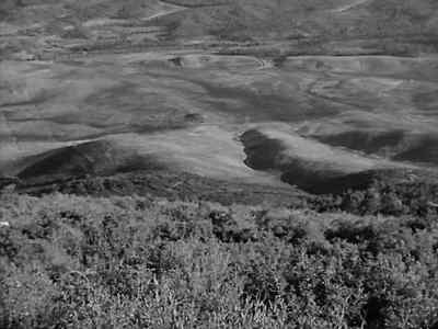 Any sign of him? - A Hill in Korea