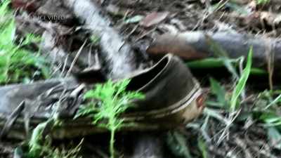 Any time we find a body
and it's not, - Floribama Murders