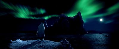 Anybody find me - Happy Feet