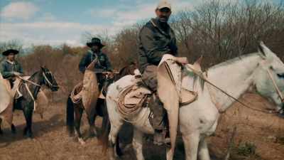 -ANYBODY GOT A GUN?
[ HORSE BLUSTERS ] - Expedition Mungo