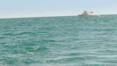 -Anybody got eyes on it?
-No. - 5 Headed Shark Attack