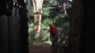 Anybody there? - The Watcher in the Woods