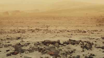 Anyone dumb enough to
aimlessly wander the desert - Zone Drifter