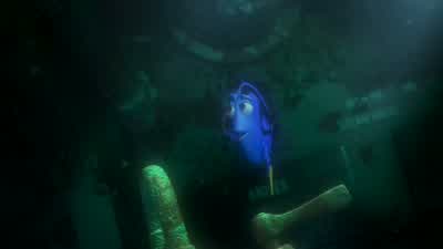 Anyone else? - Finding Nemo