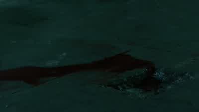 Anyone else wondering about this? - Marvel's Daredevil