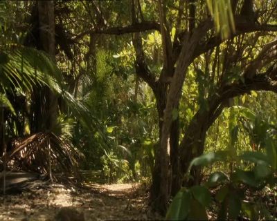 Anyone know where this leads? - Death in Paradise