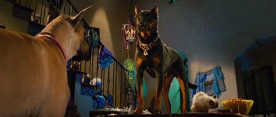 Anyone recognize this cute little fella - Marmaduke