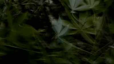 ANYTHING COULD BE HIDING
IN ONE OF THOSE - Expedition Mungo