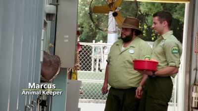Anything else to say or can we keep going?
(CHUCKLES) - Magic of Disney's Animal Kingdom