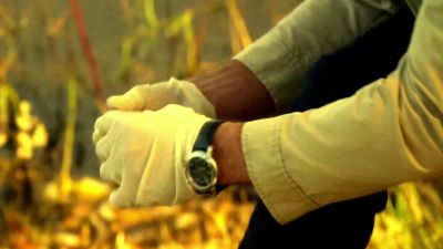 Anything else
you want me to show you? - CSI: Miami