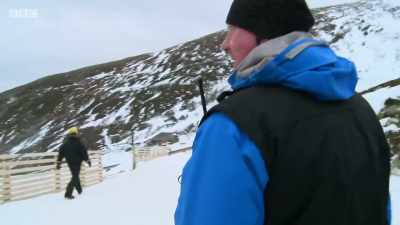 Anything to make him happy. - The Mountain