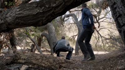      Anything?
           No scent. No tracks.
           Nothing. - Teen Wolf
