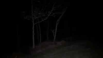 Anything out here? - Project Eerie