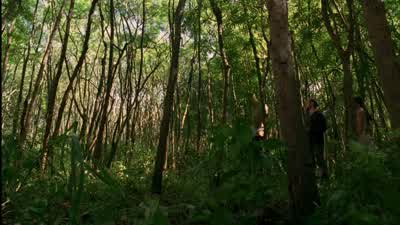 Anything? - Lost