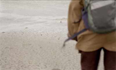 Anything that
slows down the wind - Geographies of Solitude