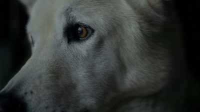 Anytime he hears a squirrel
down there or something, - Life Below Zero: Next Generation