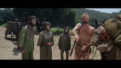 Anyway, I... - Planet of the Apes